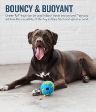 Planet Dog Orbee-Tuff Planet Ball Dog Toy