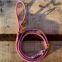 Miscellaneous and Sale Leashes