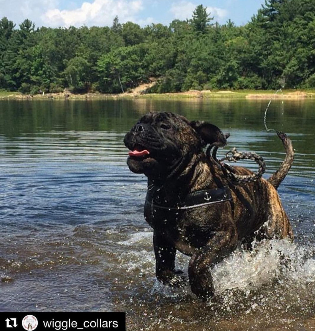 Adventure Lead (Made to Order)