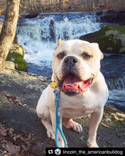 Adventure Lead (Made to Order)