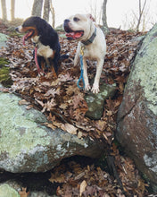 Adventure Lead (Made to Order)