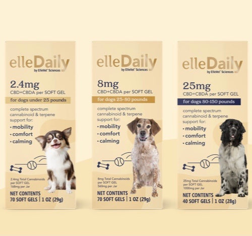 ElleDaily Gels: CURRENTLY UNAVAILABLE