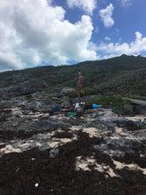Cat Island Beach Cleanup