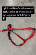 “Story Sale”: Large Cat harness