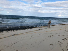 Cat Island Beach Cleanup