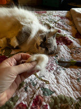Li'l Pals Double-Sided Comb