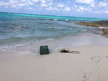 Cat Island Beach Cleanup