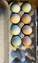Hatching Eggs