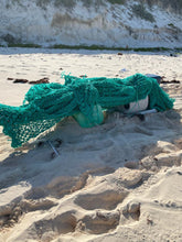 Cat Island Beach Cleanup