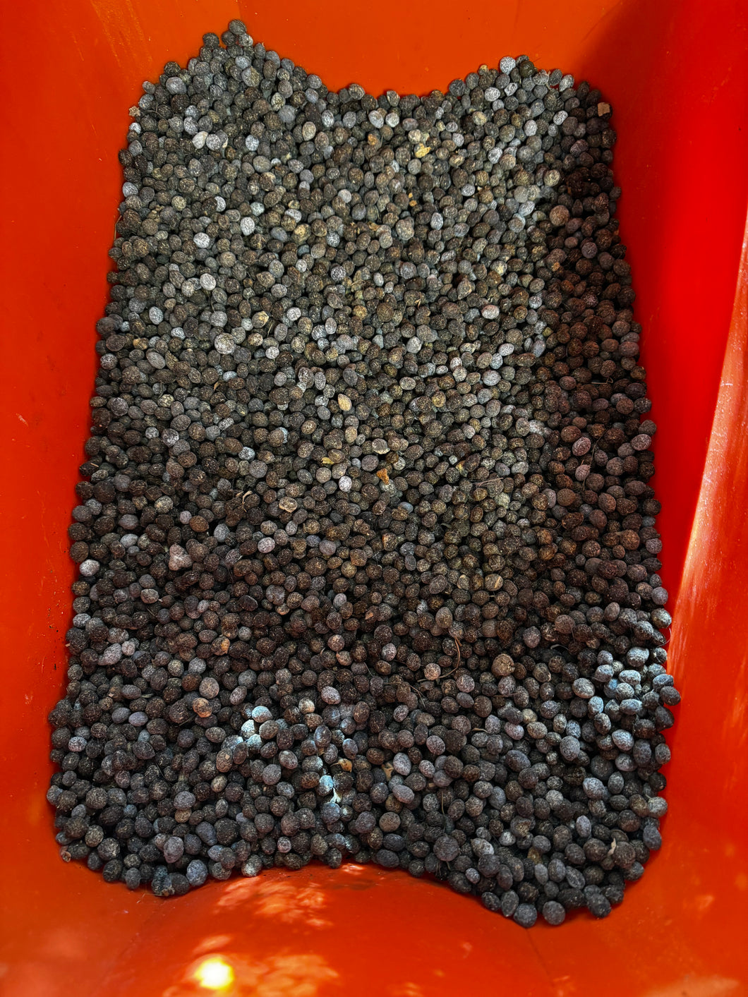 Rabbit Manure