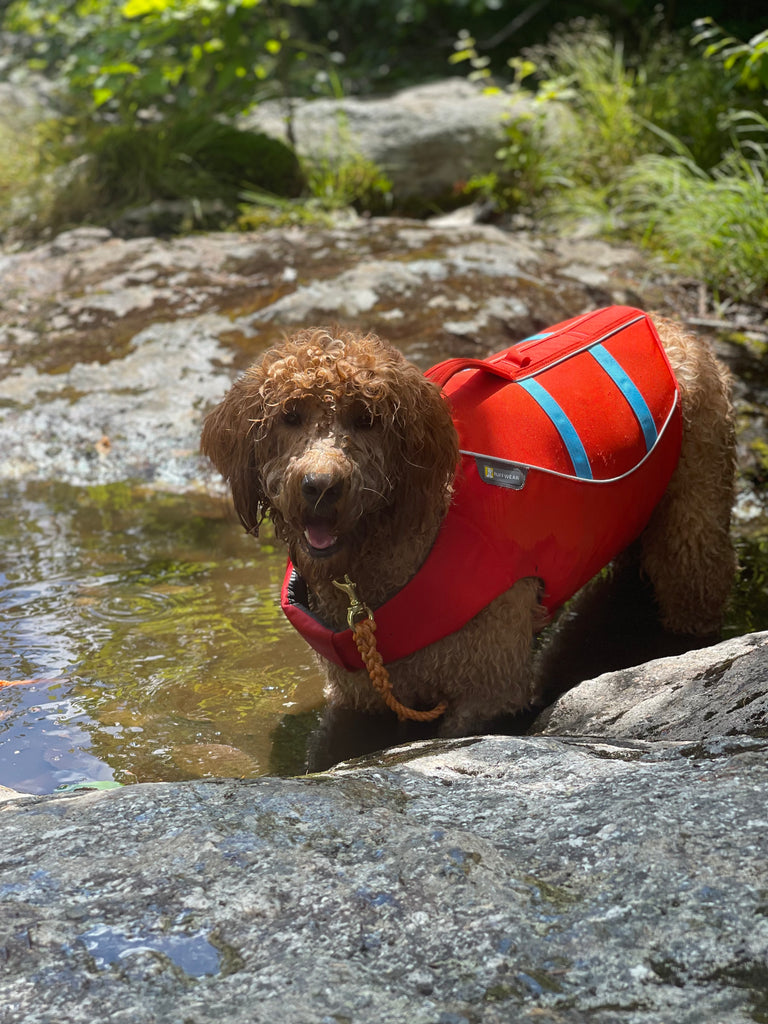 Orange Plain Maine Float Rope Leash WashAshore Store