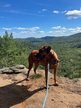 Blue Float Rope Plain Maine Leash