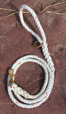 The Candy Cane Leash