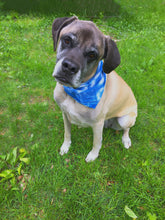 Indigo Tie Dye Napkin, Handkerchief or Tie on Bandana