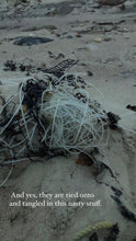 Montauk Float Rope Toy