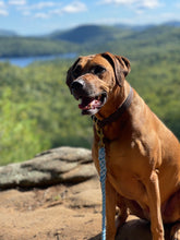 Blue Float Rope Plain Maine Leash