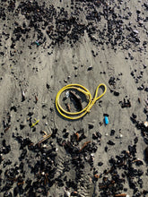 Yellow Plain Maine Leash