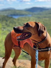 Blue Float Rope Plain Maine Leash