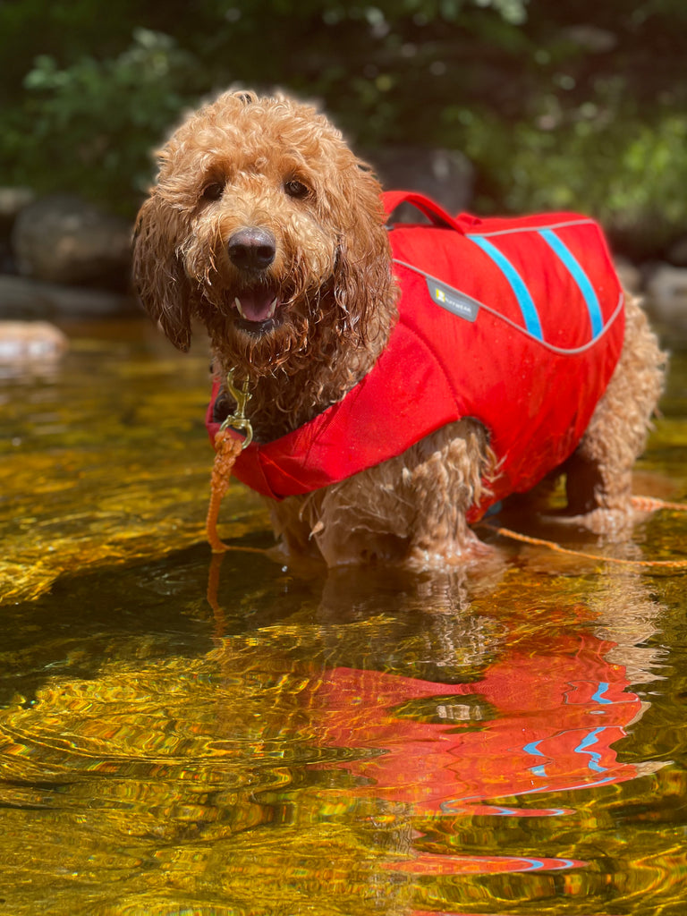 Orange Plain Maine Float Rope Leash WashAshore Store